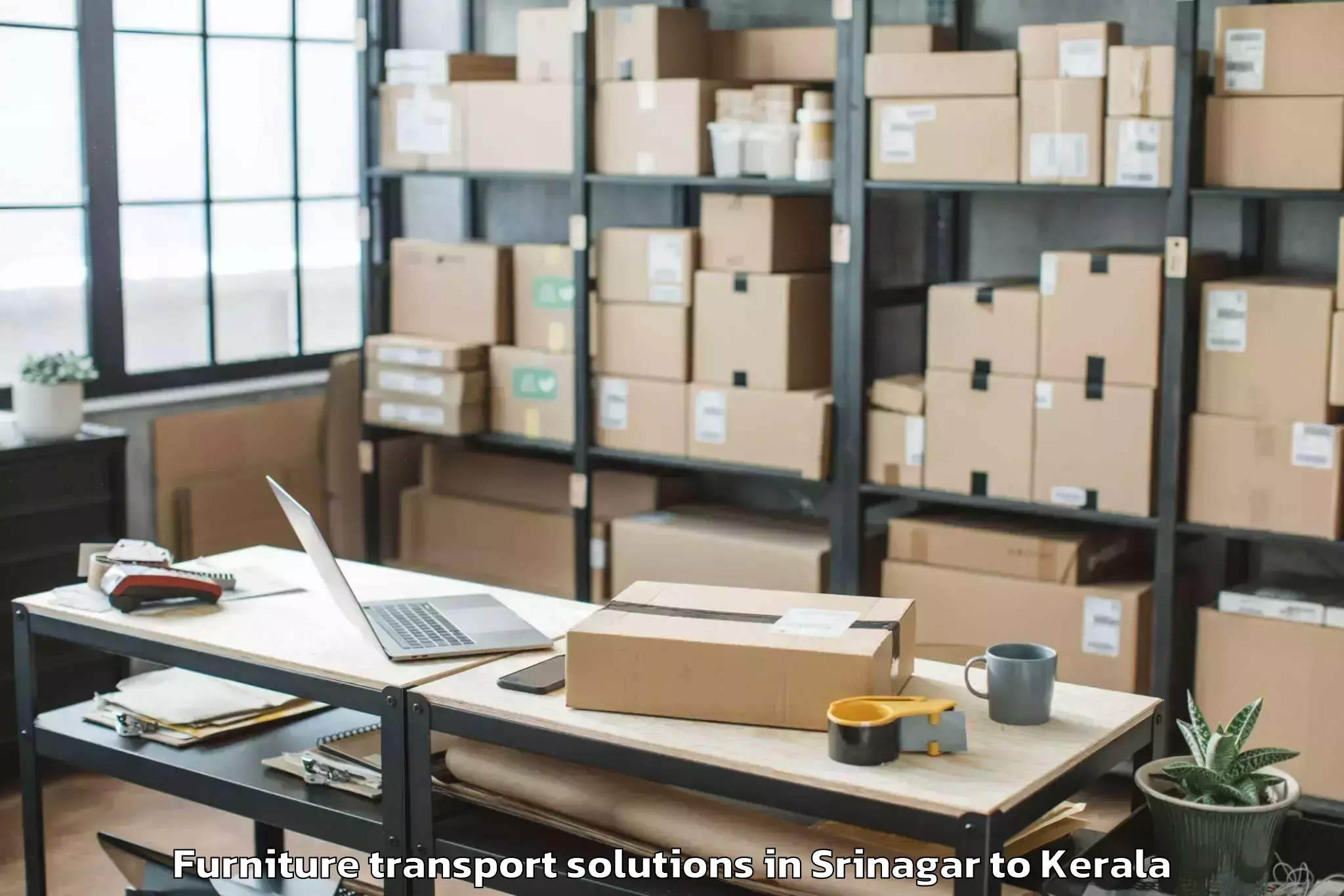 Professional Srinagar to Kayamkulam Furniture Transport Solutions